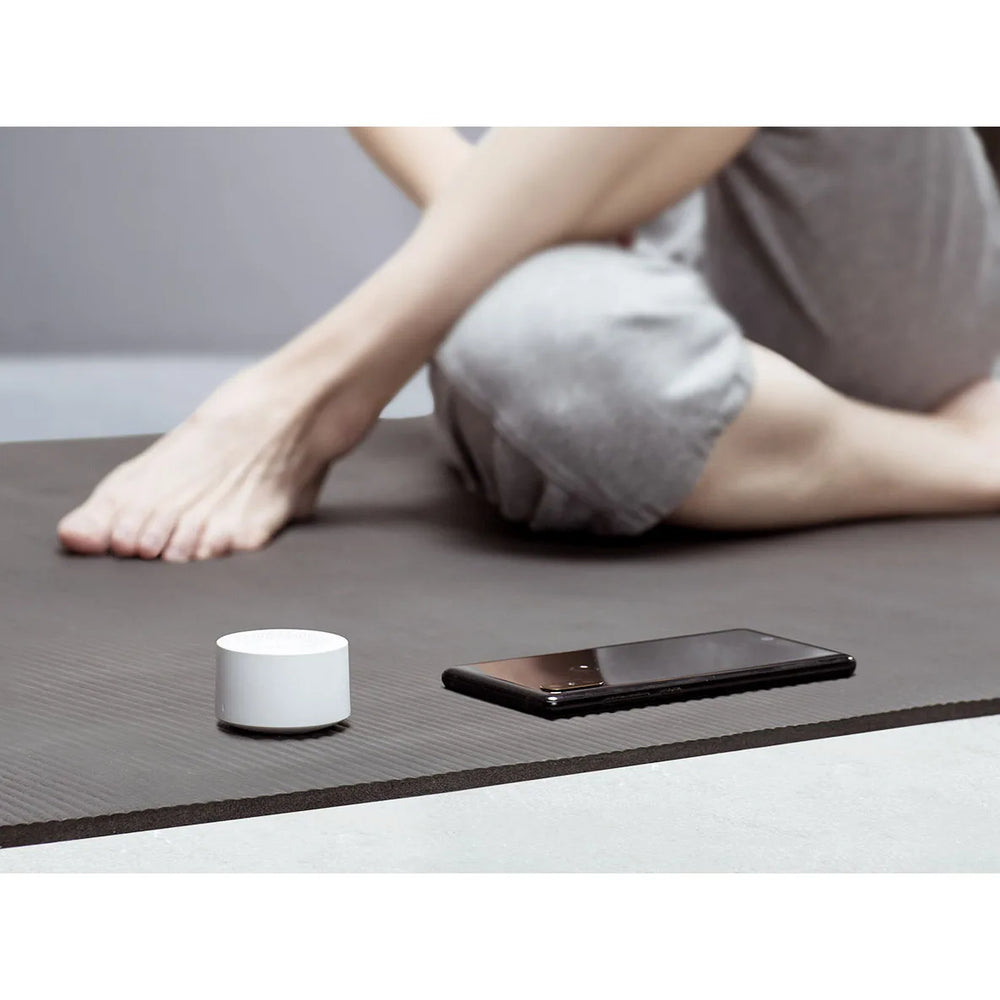 Xiaomi AI Bluetooth Speaker - Smart Voice Control Portable Audio