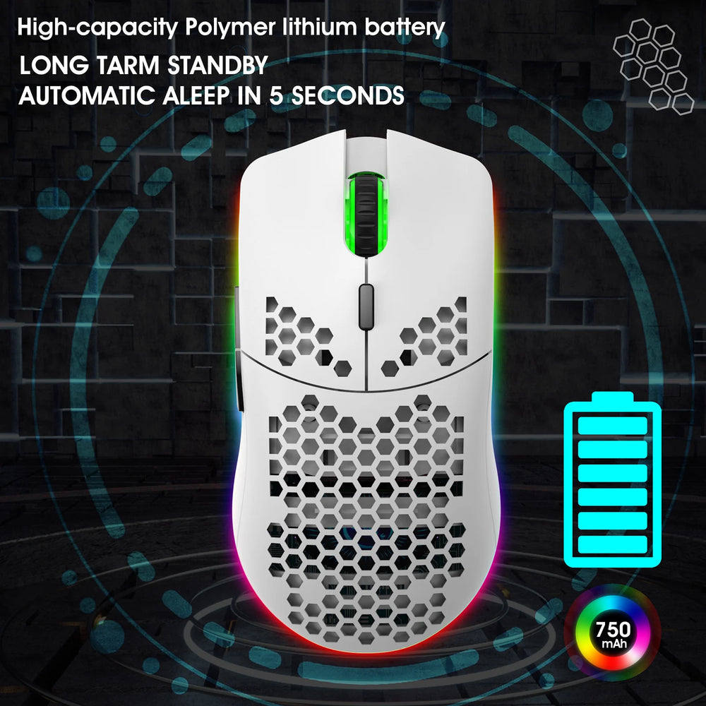 HXSJ T66 RGB 2.4G Wireless Gaming Mouse - 3600 DPI, 6 Buttons Rechargeable