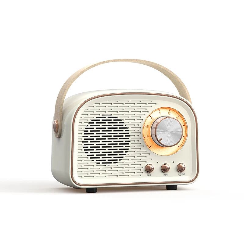 DW21 Retro Mini Bluetooth Speaker - Portable Music Player with FM